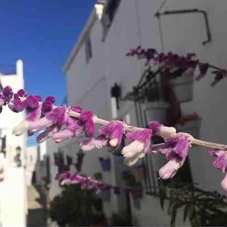 Casa Arena Y Sal En Pleno Casco Antiguo De Vejer Villa Вехер де ла Фронтера Екстериор снимка